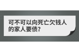 临高遇到恶意拖欠？专业追讨公司帮您解决烦恼