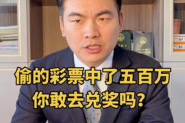 临高为什么选择专业追讨公司来处理您的债务纠纷？